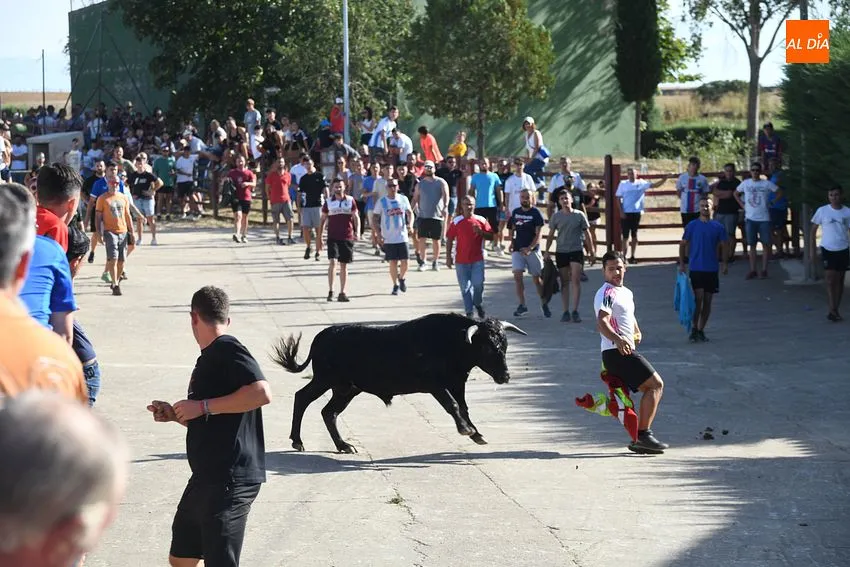 Guía de las Fiestas de Verano de Villar de la Yegua