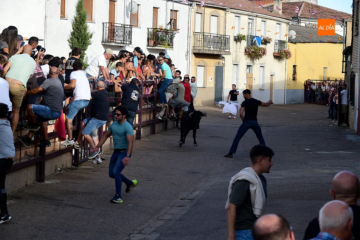 Vaquillas en Morasverdes
