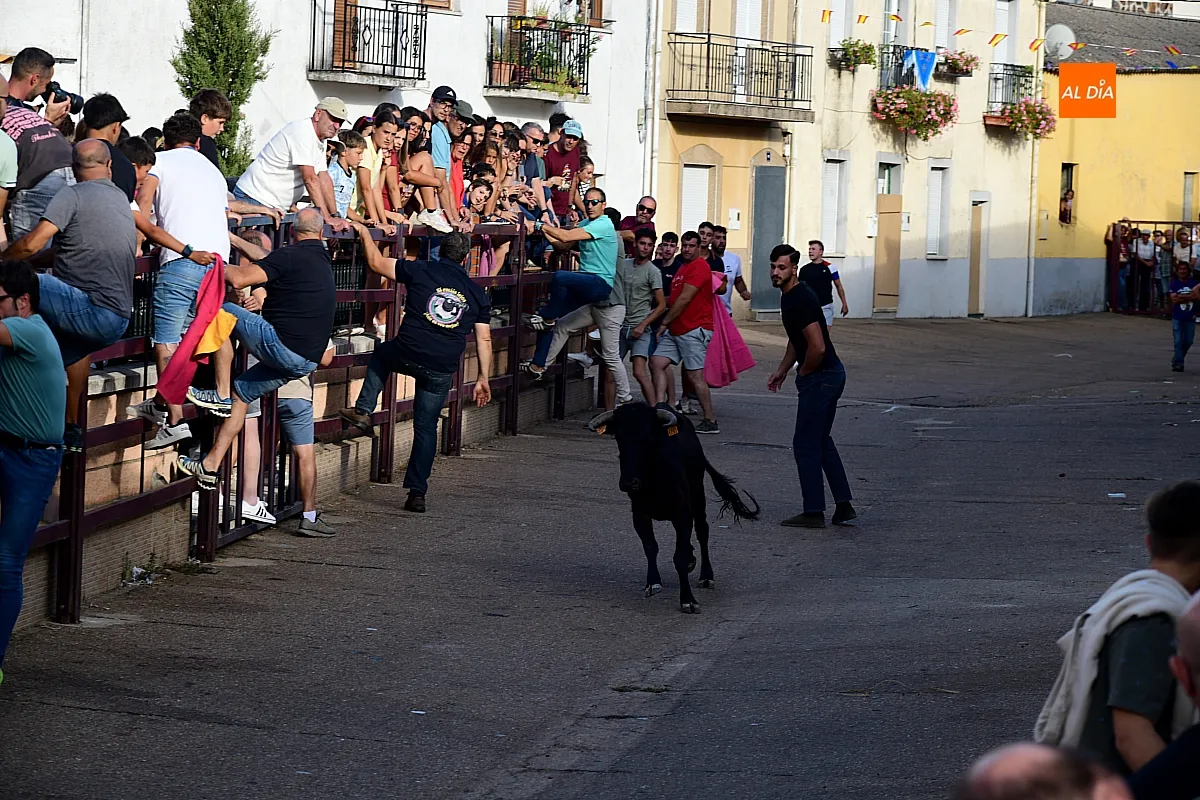 Vaquillas en Morasverdes