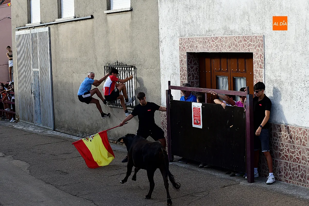 Vaquillas en Morasverdes