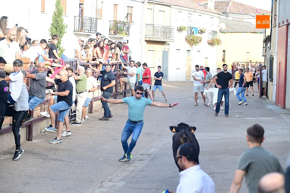 Vaquillas en Morasverdes