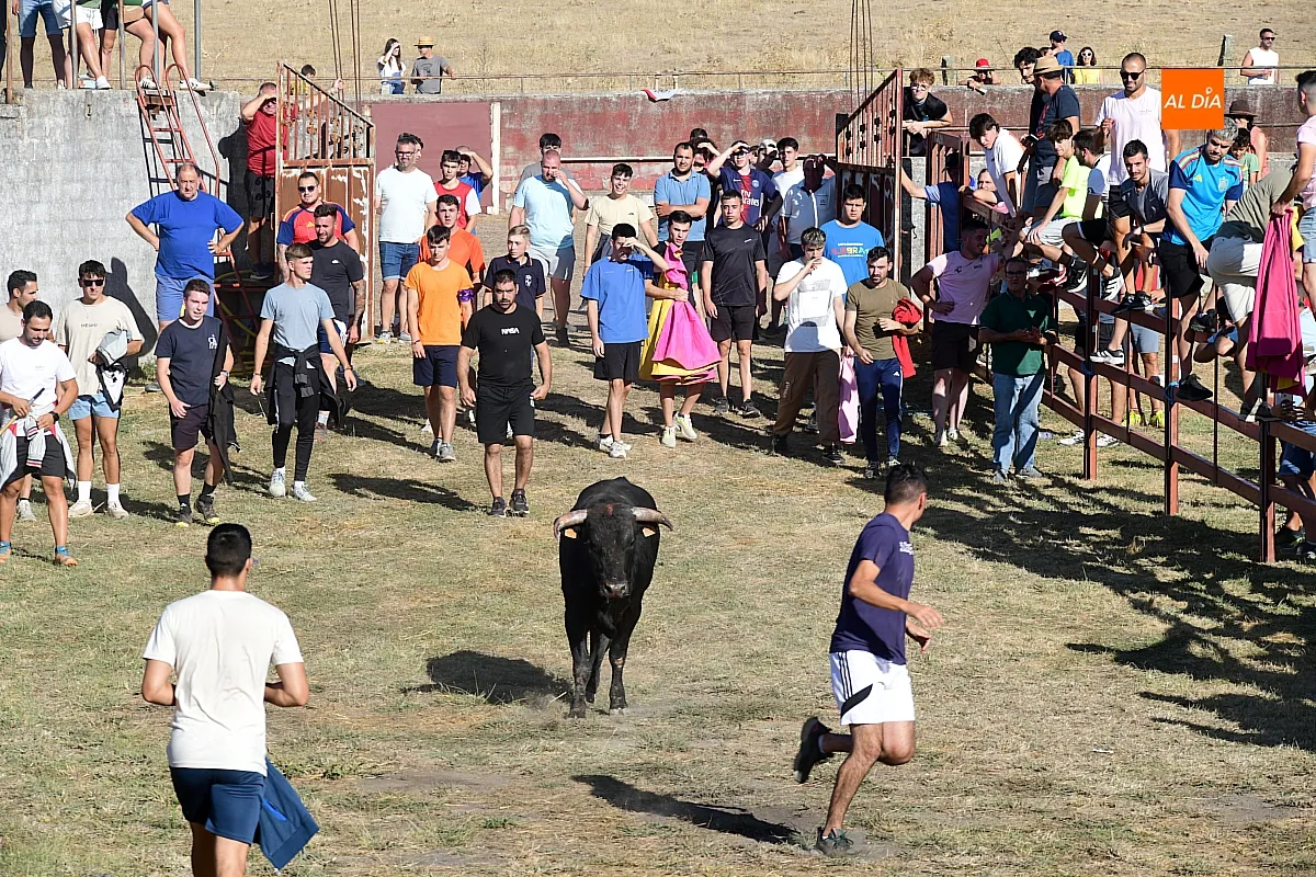 Capea popular en Villar de la Yegua