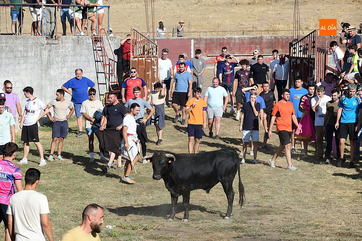 Capea popular en Villar de la Yegua