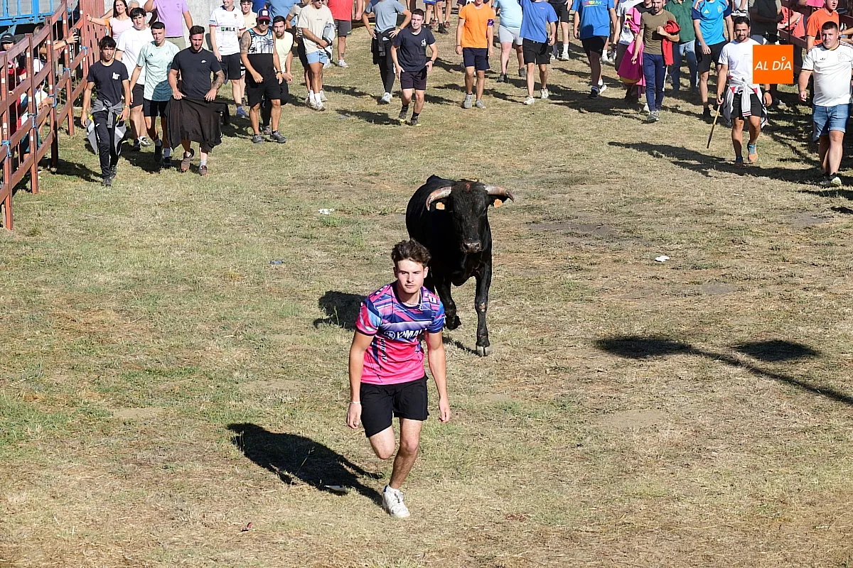 Capea popular en Villar de la Yegua