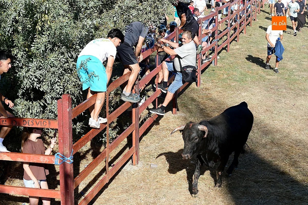 Capea popular en Villar de la Yegua