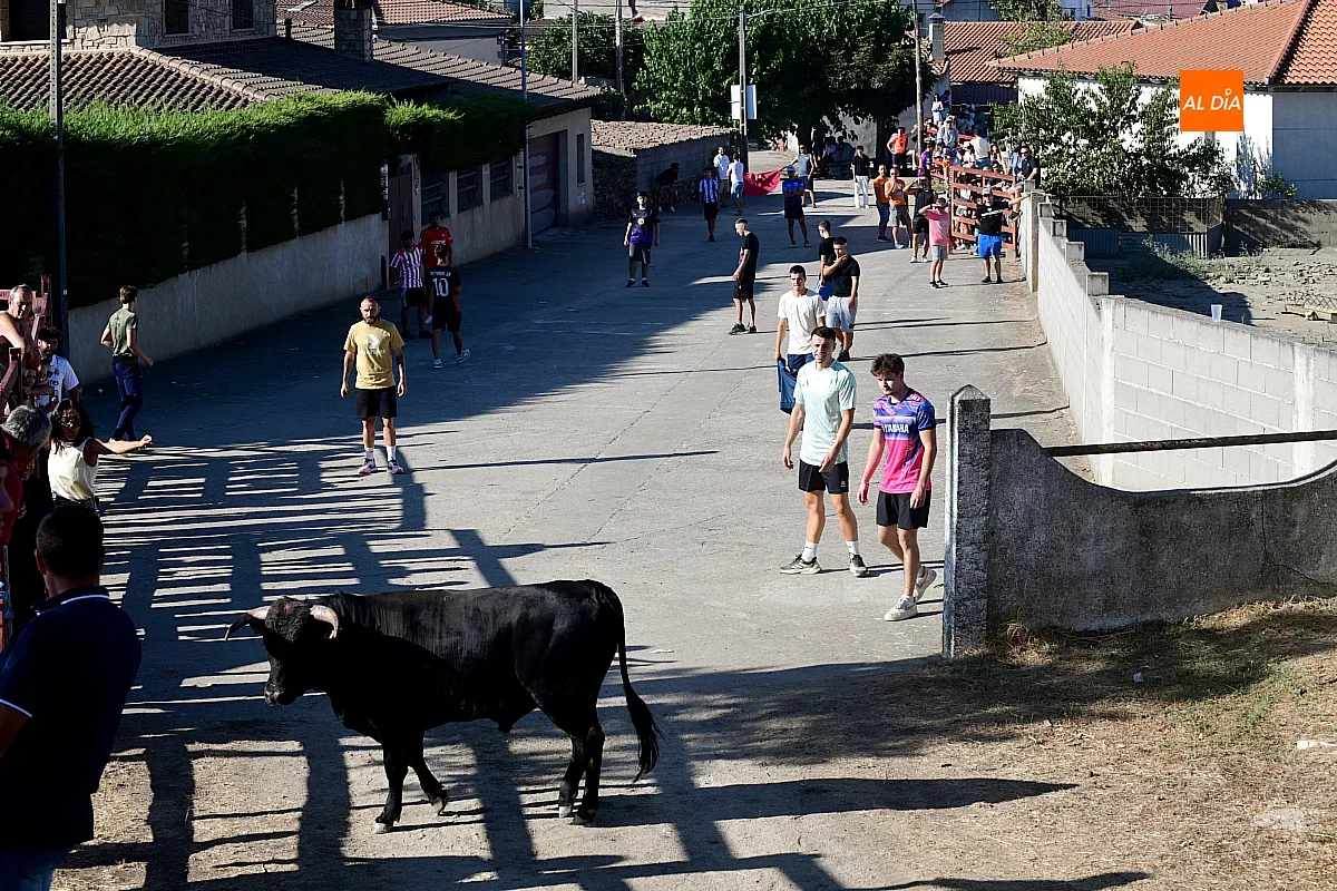 Capea popular en Villar de la Yegua