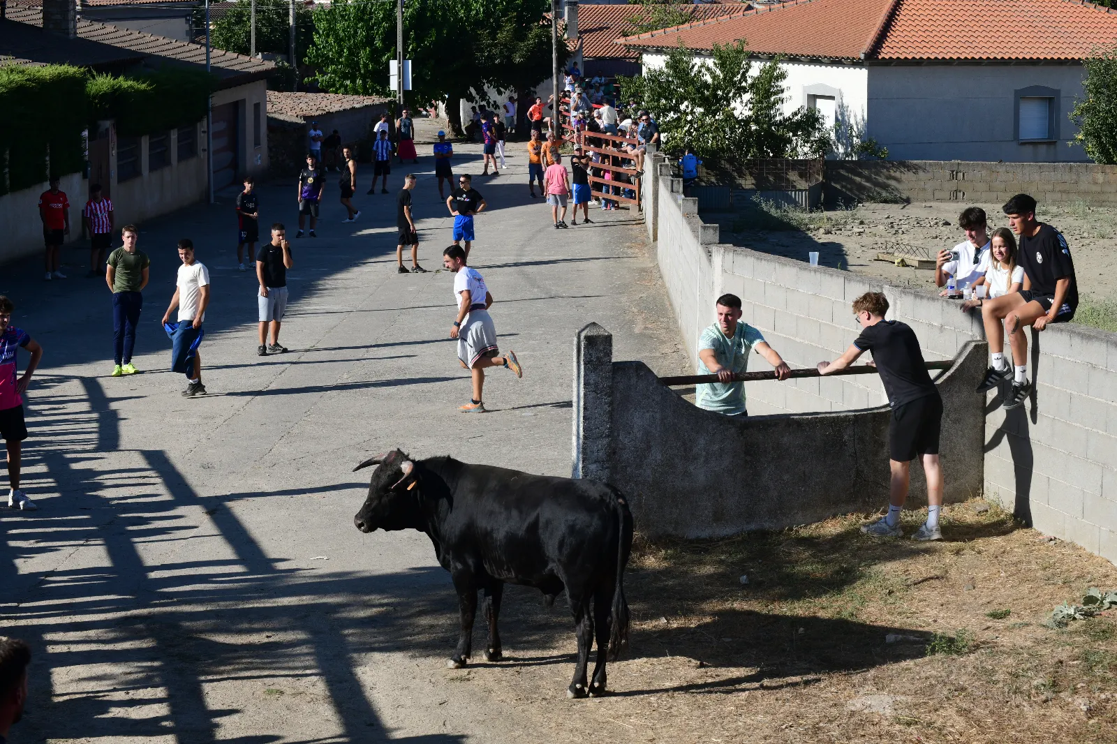 Capea popular en Villar de la Yegua