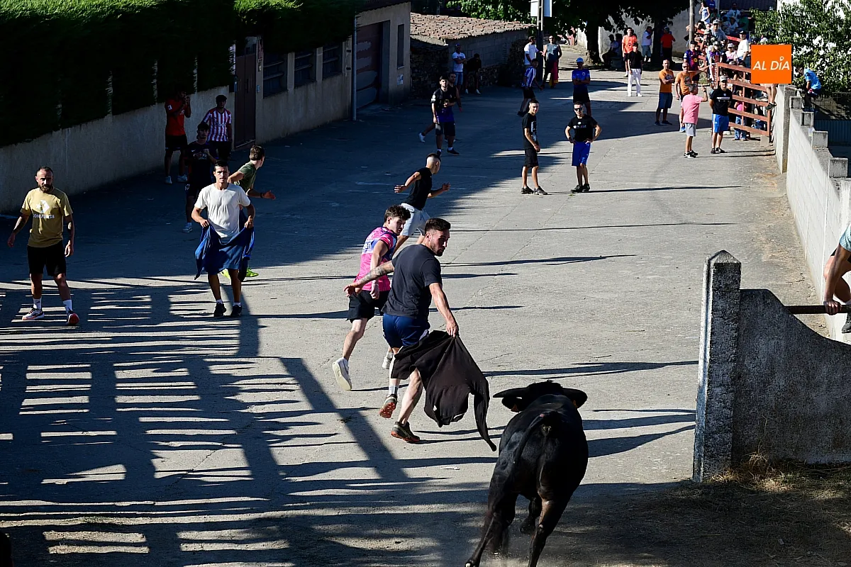 Capea popular en Villar de la Yegua