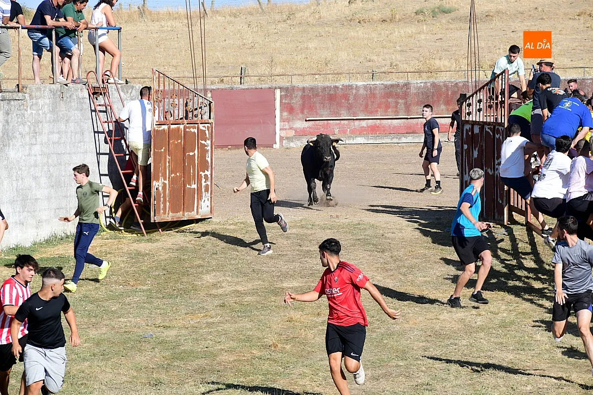 Capea popular en Villar de la Yegua