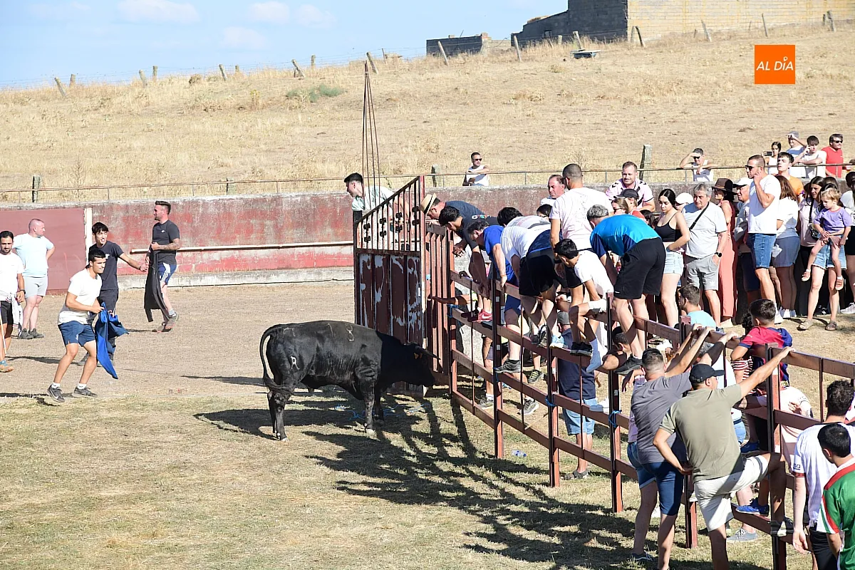 Capea popular en Villar de la Yegua