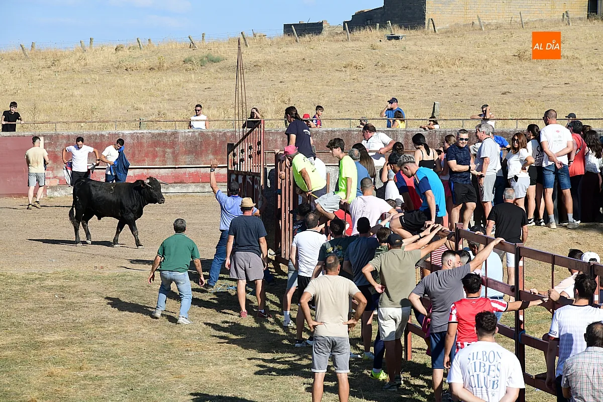 Capea popular en Villar de la Yegua