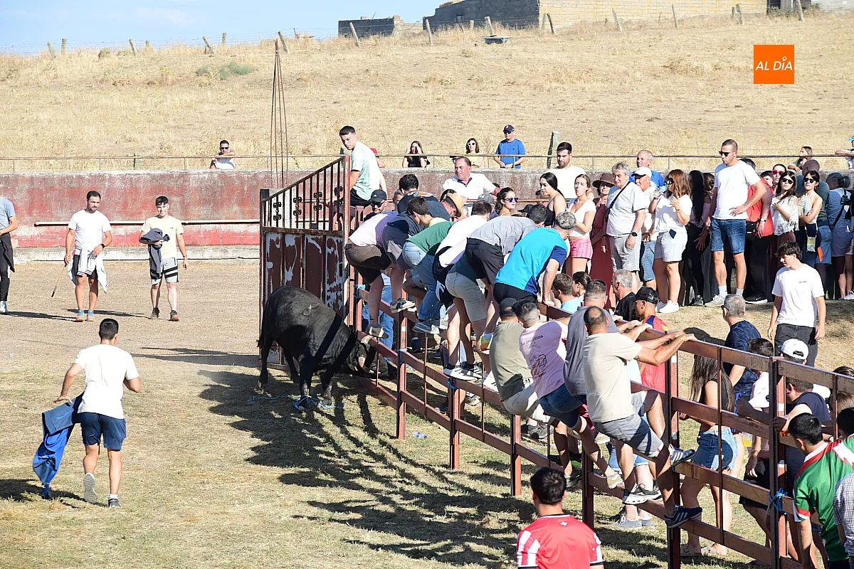 Capea popular en Villar de la Yegua