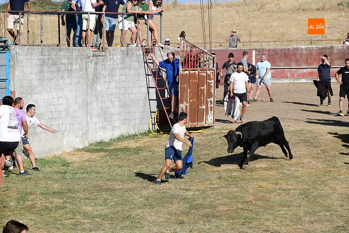 Capea popular en Villar de la Yegua