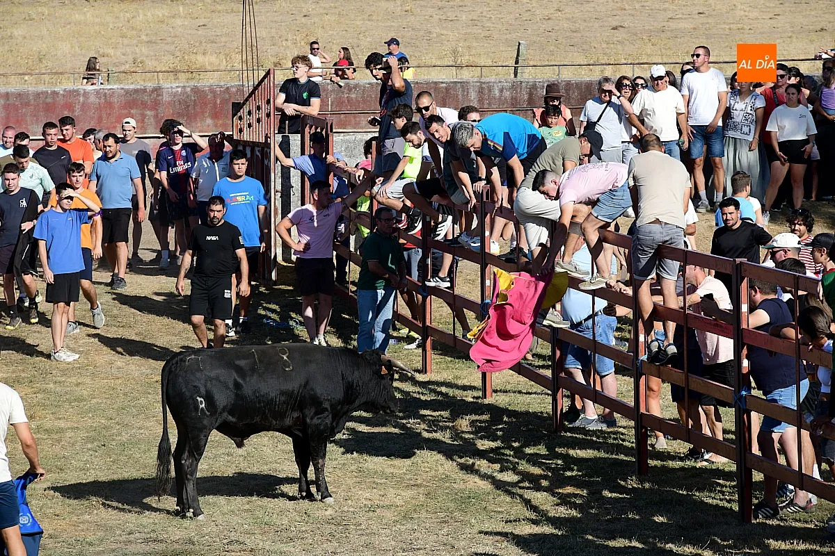 Capea popular en Villar de la Yegua
