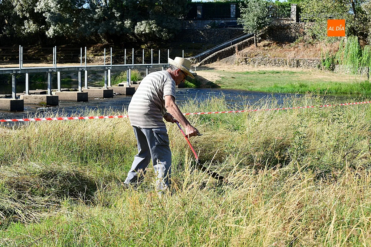 I Concurso de Siega con Guadaña 