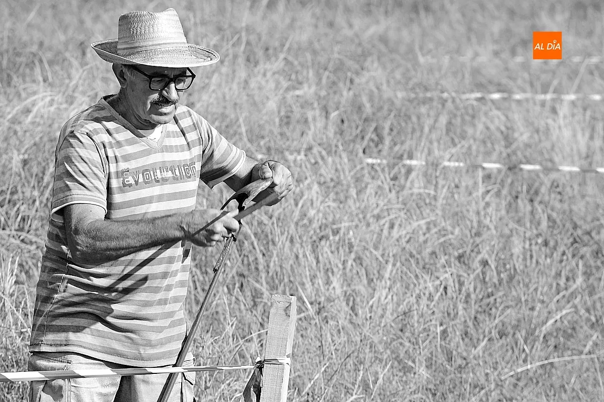 I Concurso de Siega con Guadaña 