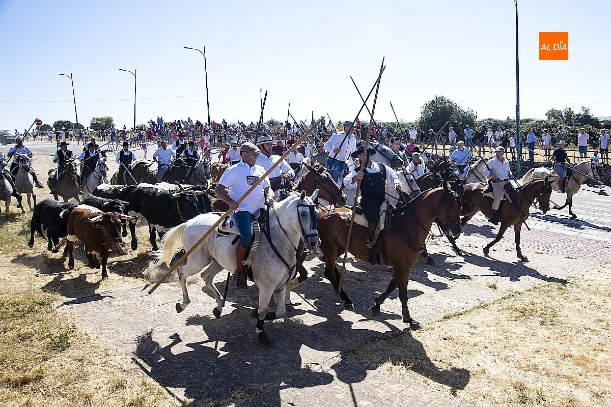 Encierro a Caballo viernes Fuenteguinaldo