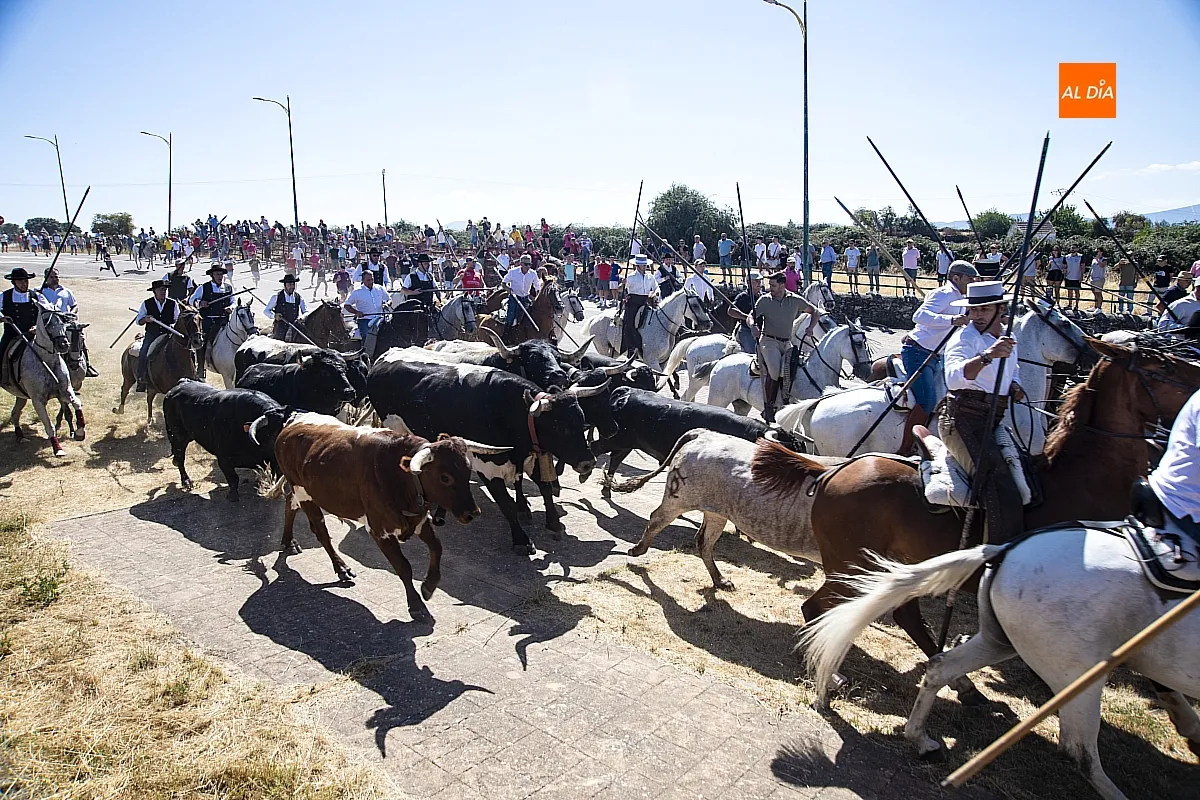 Encierro a Caballo viernes Fuenteguinaldo