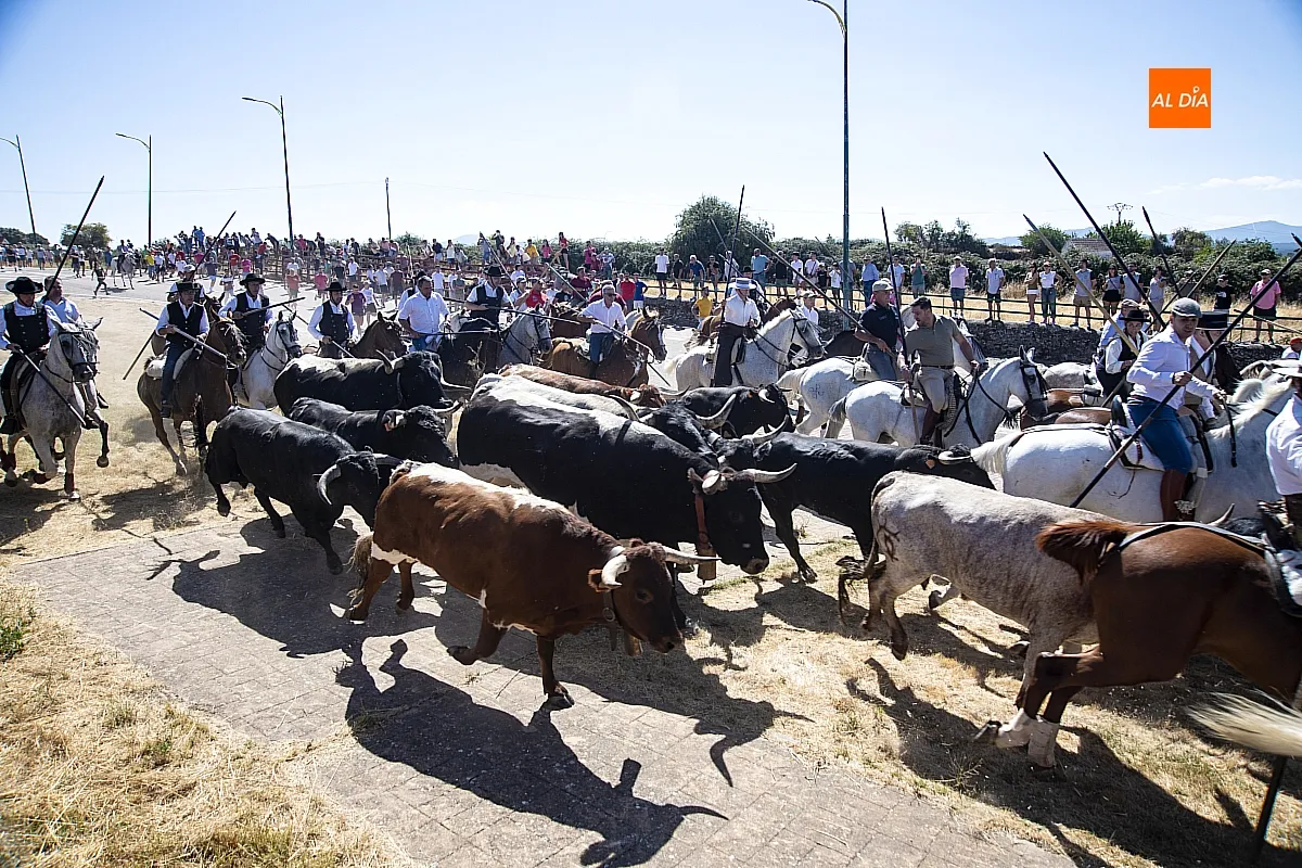 Encierro a Caballo viernes Fuenteguinaldo