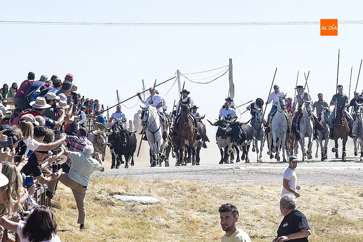Encierro viernes Fuenteguinaldo