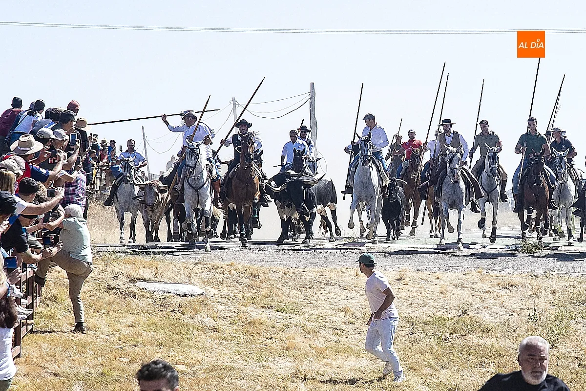 Encierro viernes Fuenteguinaldo