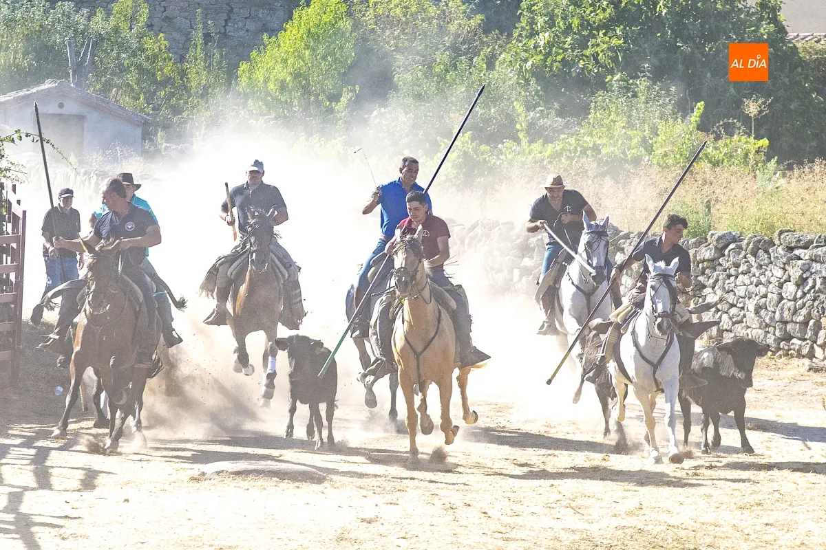 Encierro a Caballo Fuentes de Oñoro