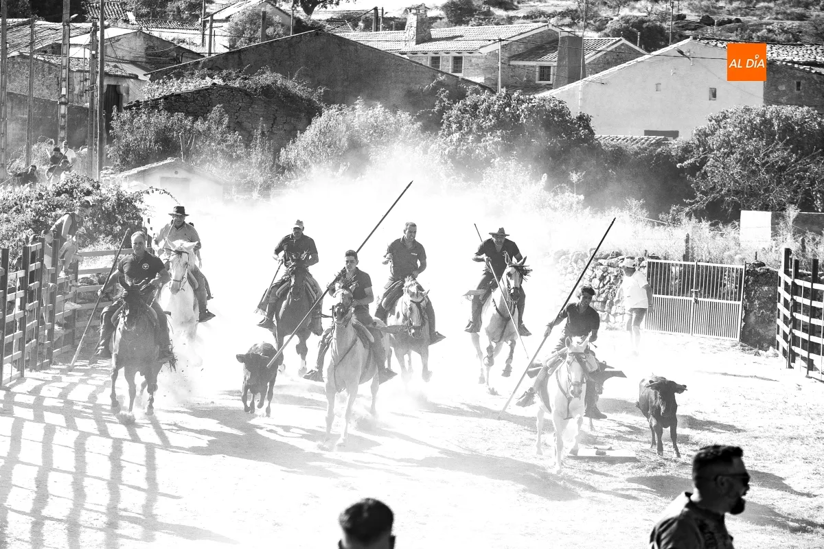 Encierro a Caballo Fuentes de Oñoro