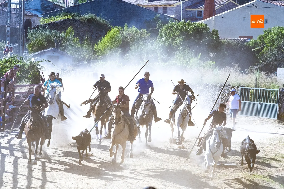 Encierro a Caballo Fuentes de Oñoro