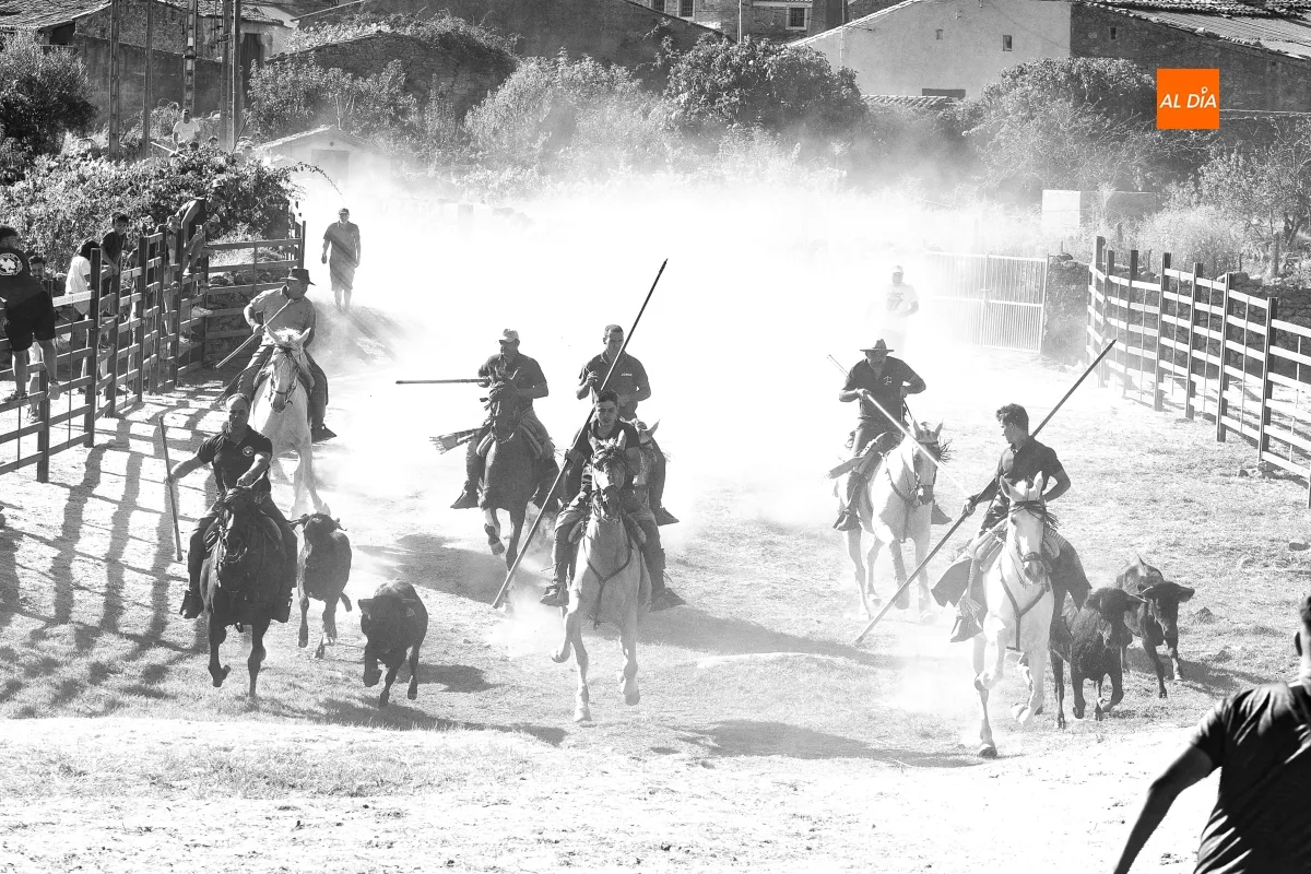 Encierro a Caballo Fuentes de Oñoro