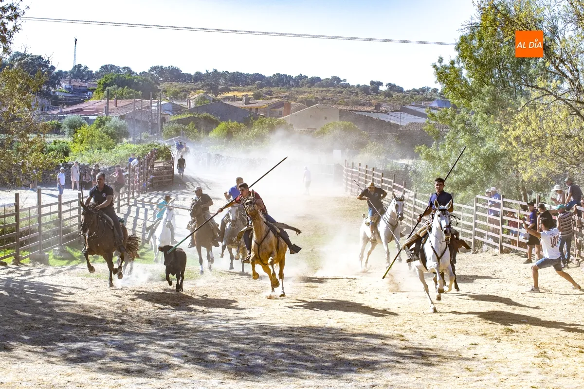 Encierro a Caballo Fuentes de Oñoro