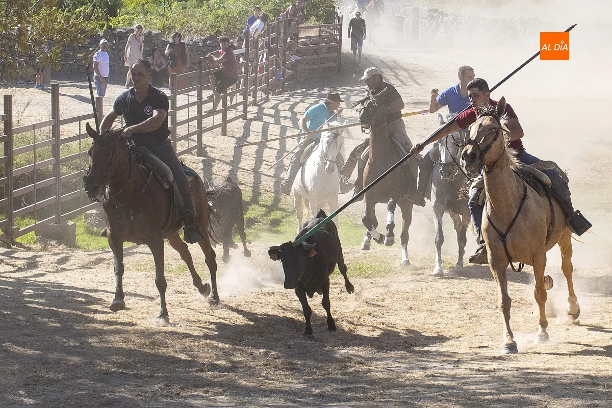 Encierro a Caballo Fuentes de Oñoro