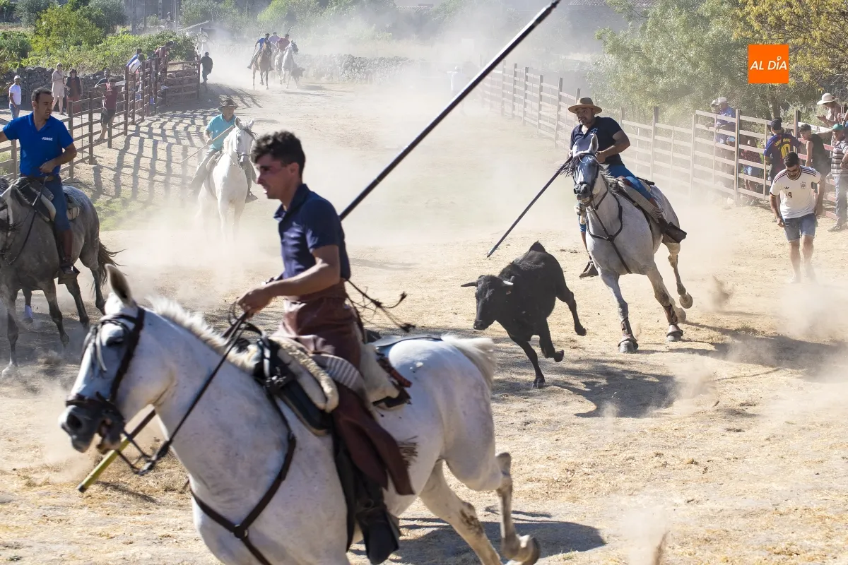 Encierro a Caballo Fuentes de Oñoro
