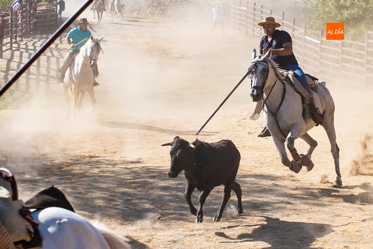 Encierro a Caballo Fuentes de Oñoro
