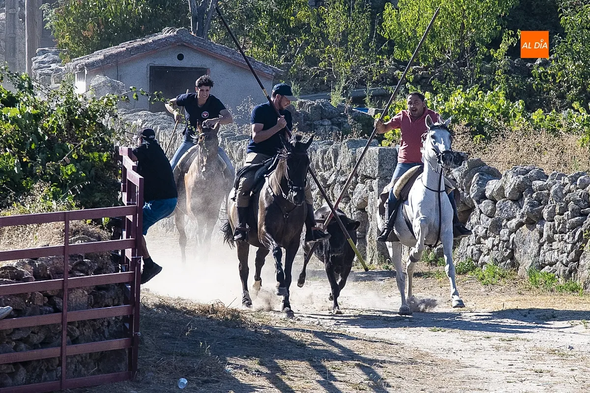 Encierro a Caballo Fuentes de Oñoro
