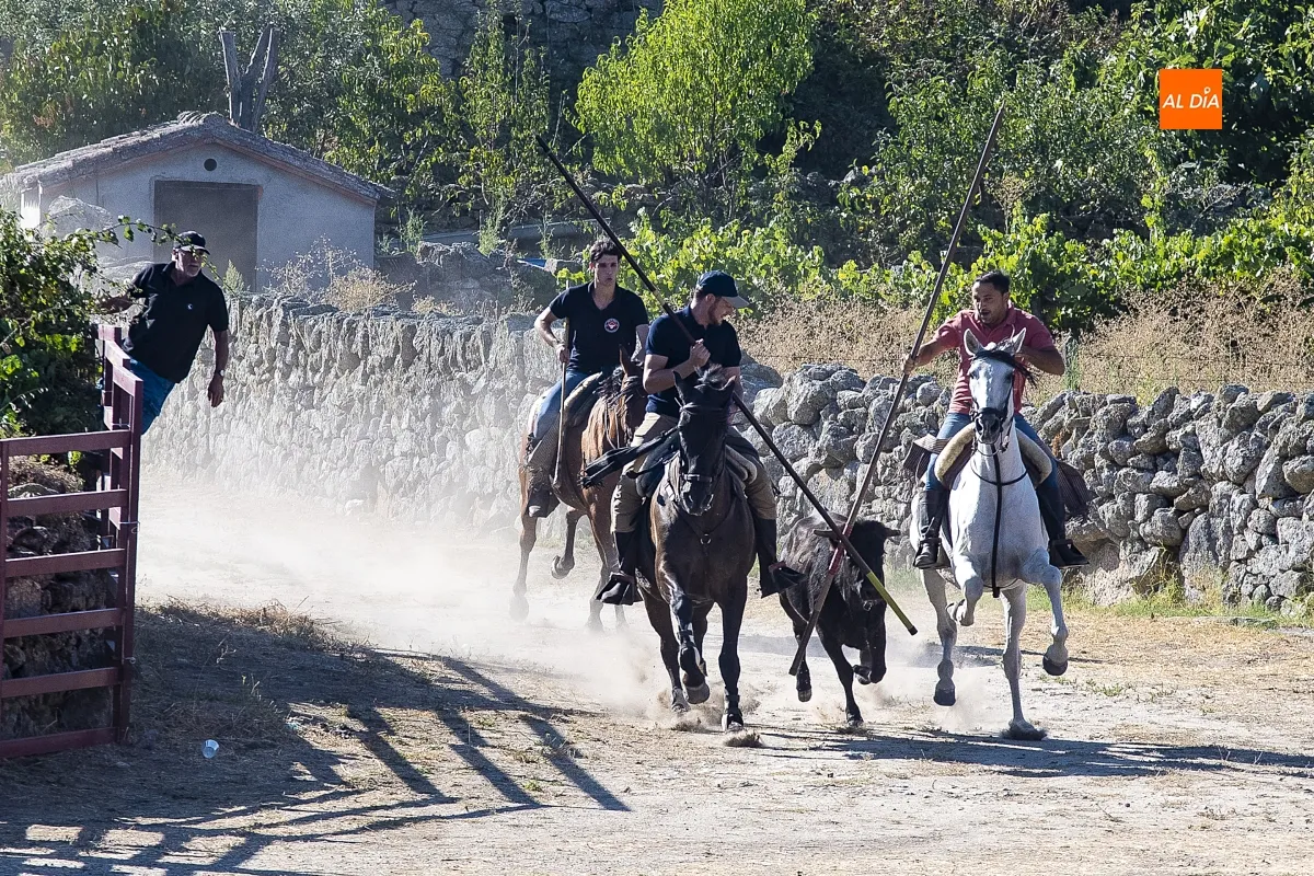 Encierro a Caballo Fuentes de Oñoro