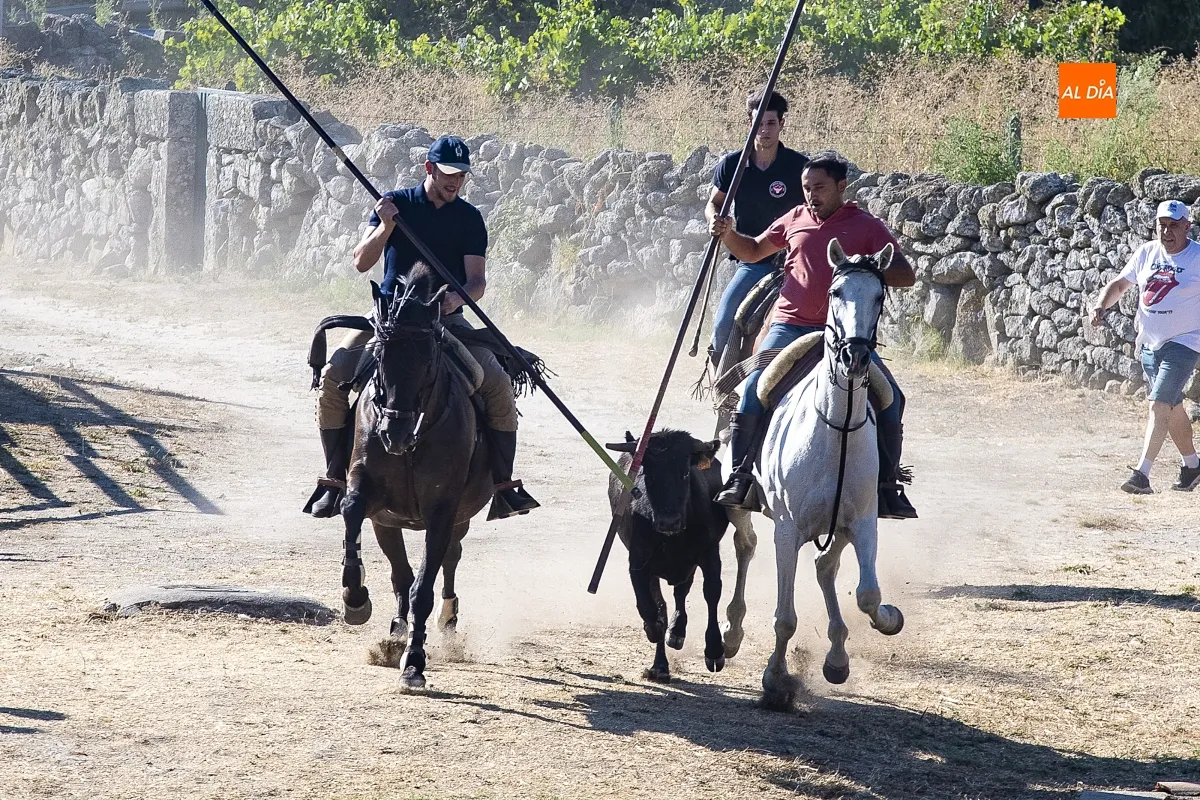 Encierro a Caballo Fuentes de Oñoro