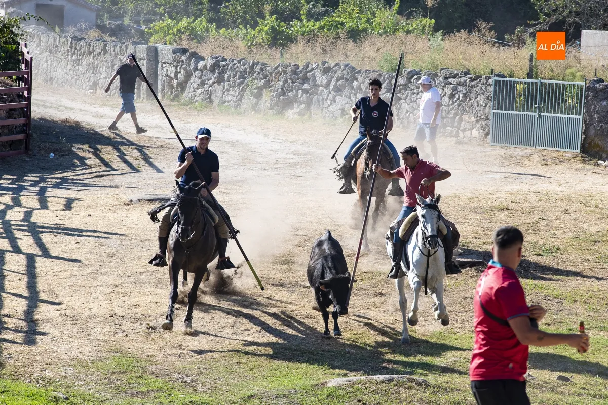Encierro a Caballo Fuentes de Oñoro