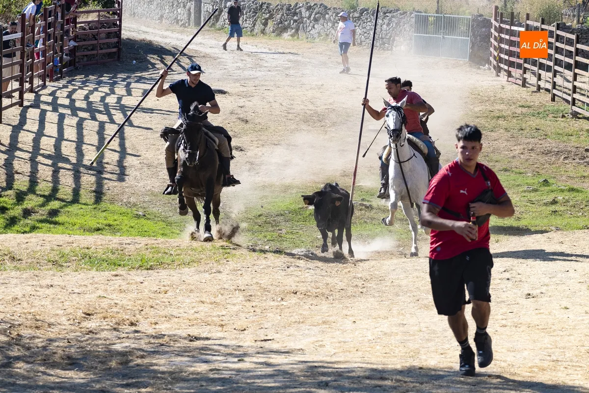 Encierro a Caballo Fuentes de Oñoro