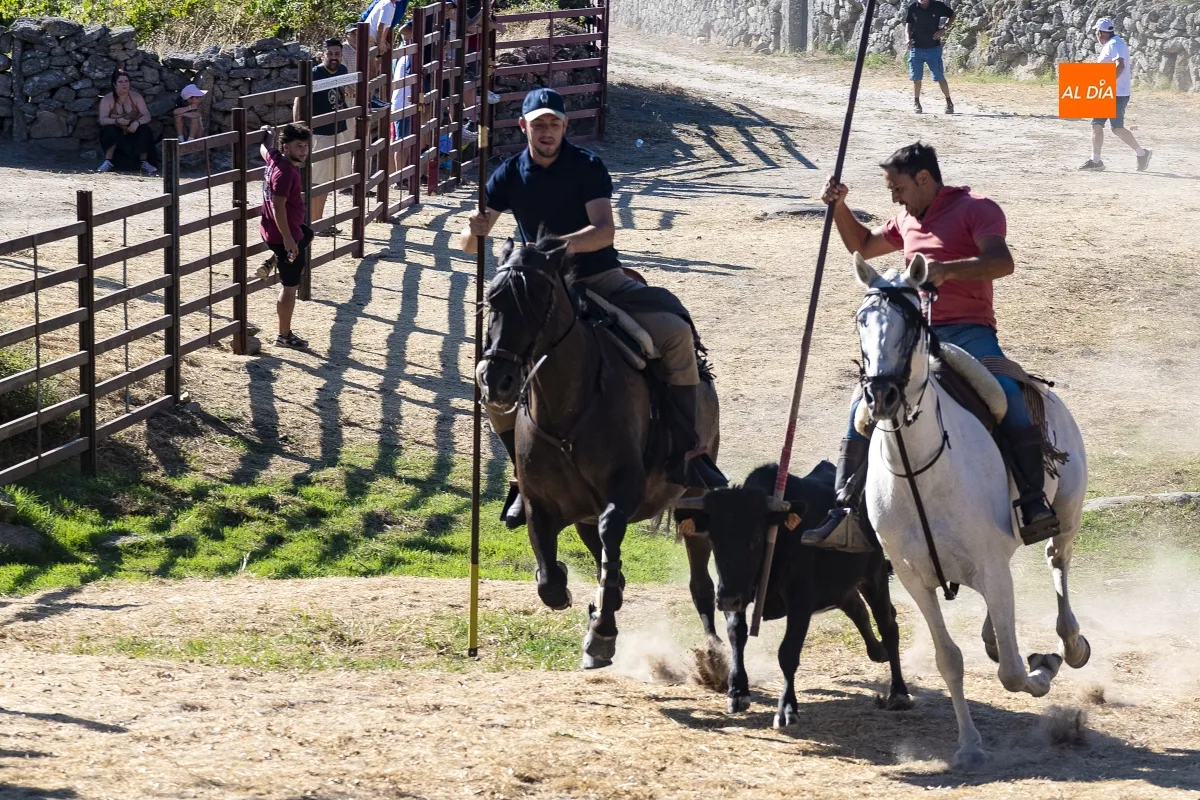 Encierro a Caballo Fuentes de Oñoro