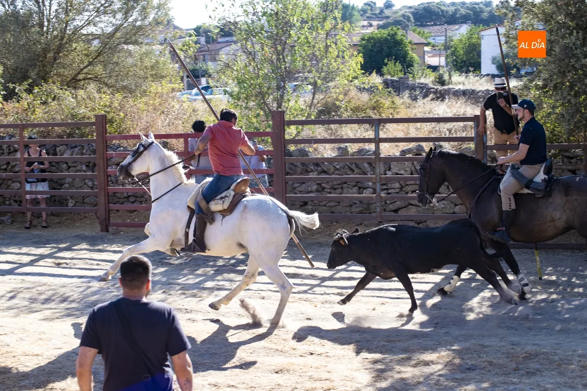 Encierro a Caballo Fuentes de Oñoro
