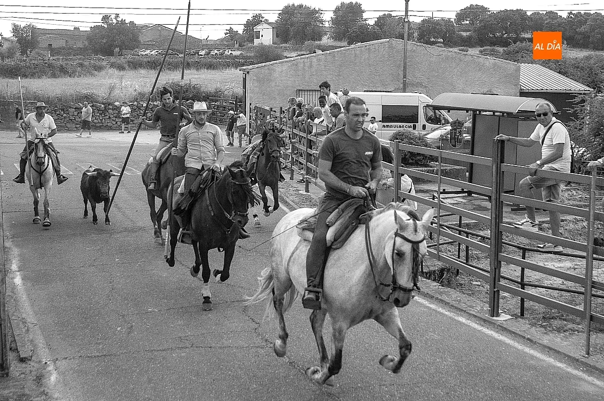 II Encierro a Caballo en Fuentes de Oñoro
