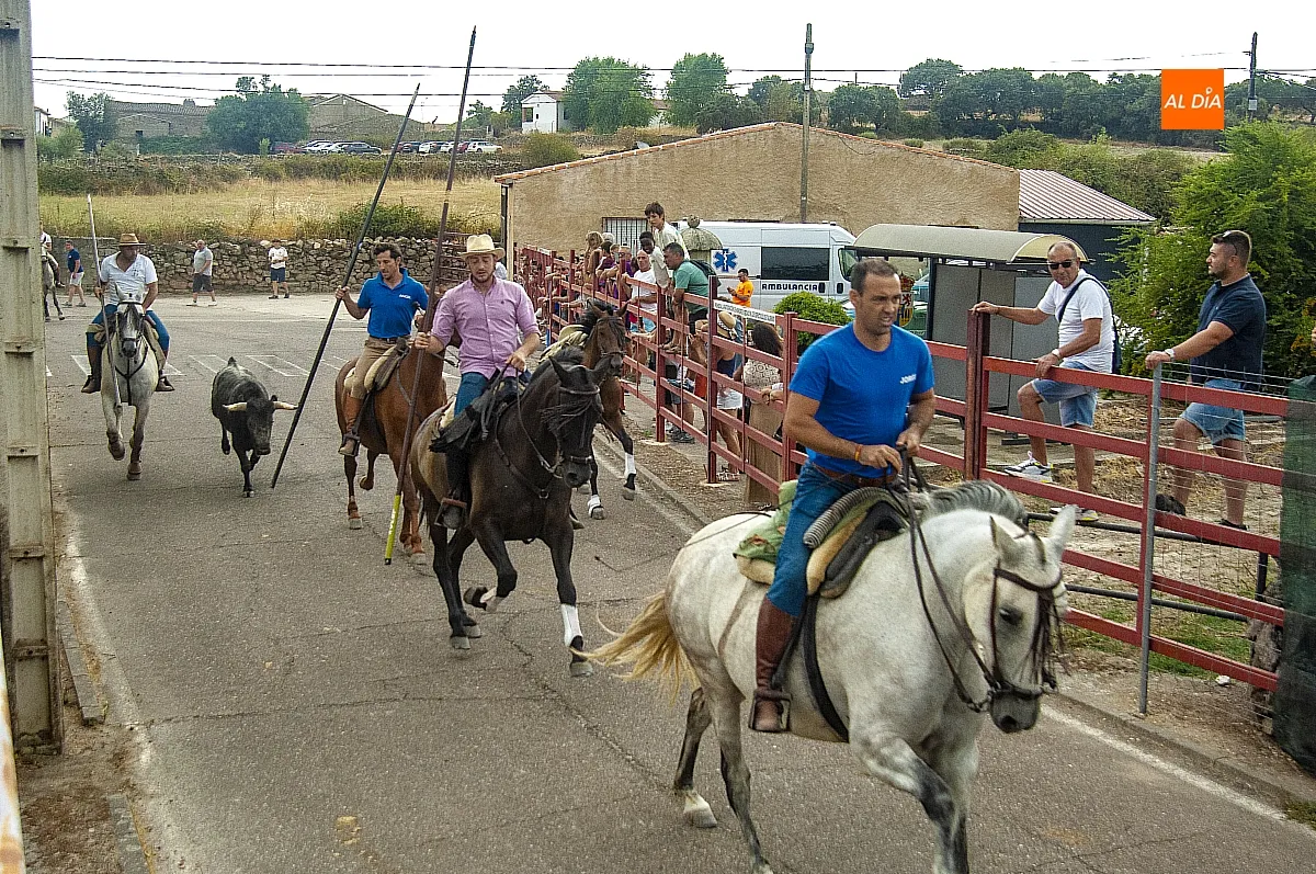 II Encierro a Caballo en Fuentes de Oñoro