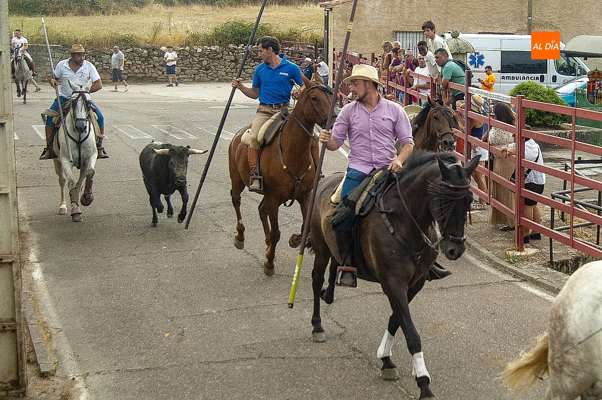 II Encierro a Caballo en Fuentes de Oñoro