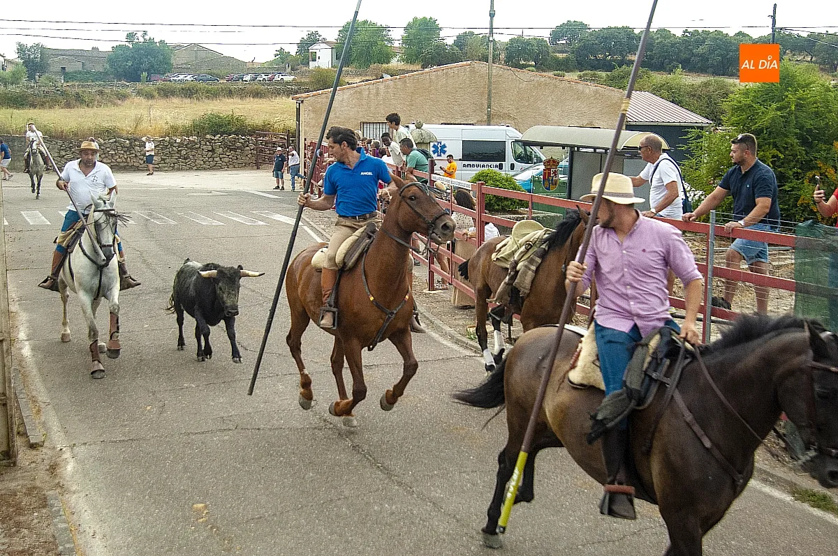 II Encierro a Caballo en Fuentes de Oñoro