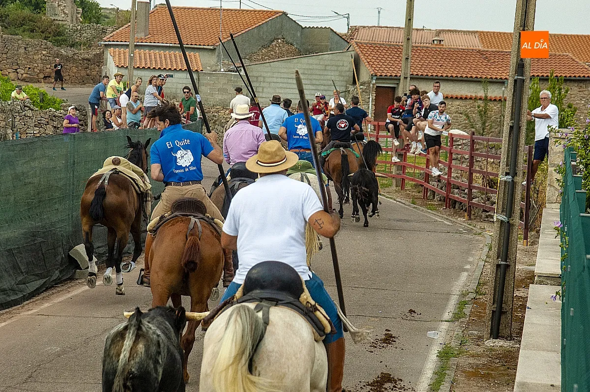 II Encierro a Caballo en Fuentes de Oñoro