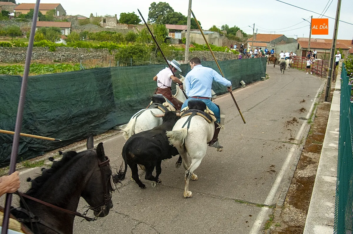 II Encierro a Caballo en Fuentes de Oñoro