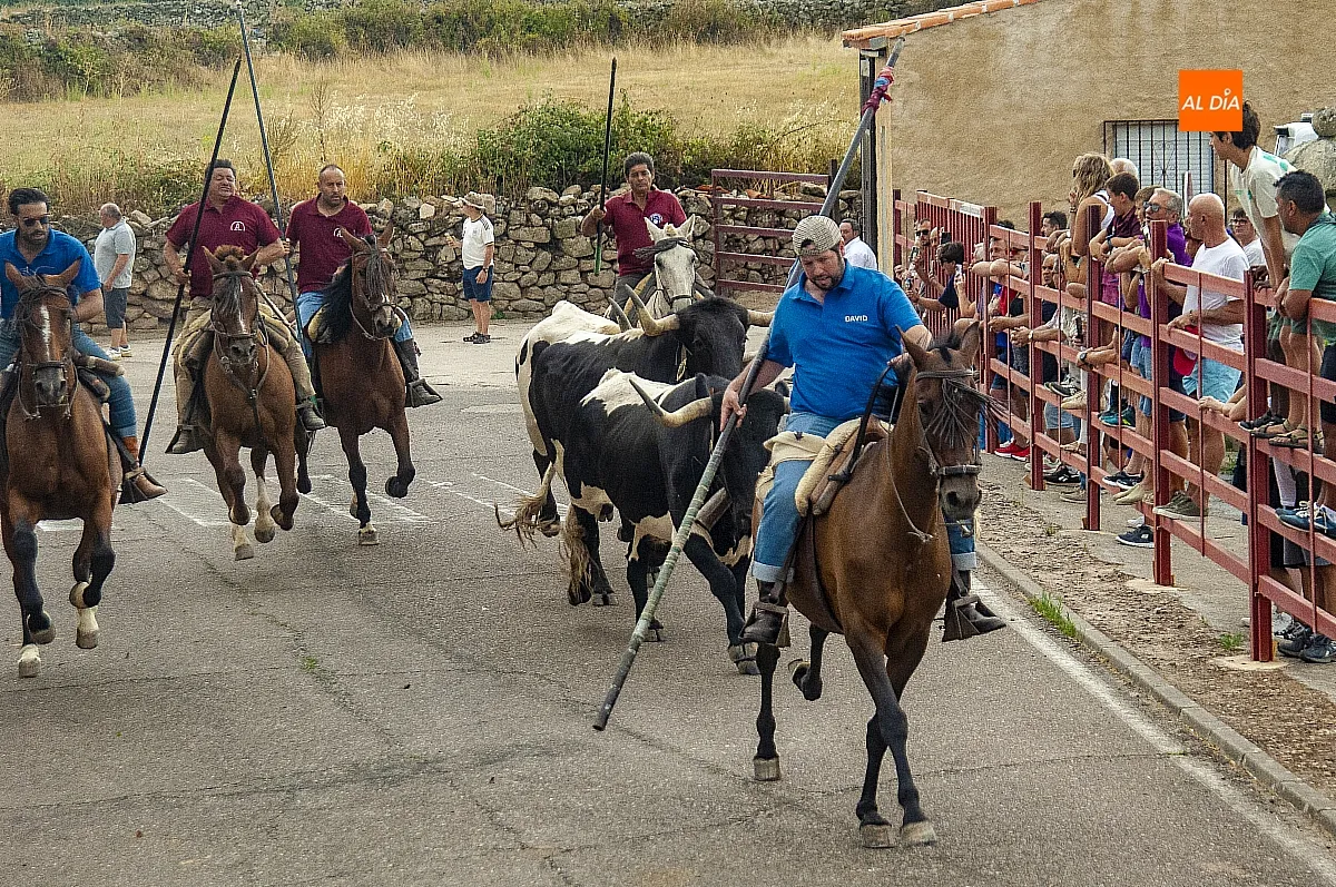 II Encierro a Caballo en Fuentes de Oñoro