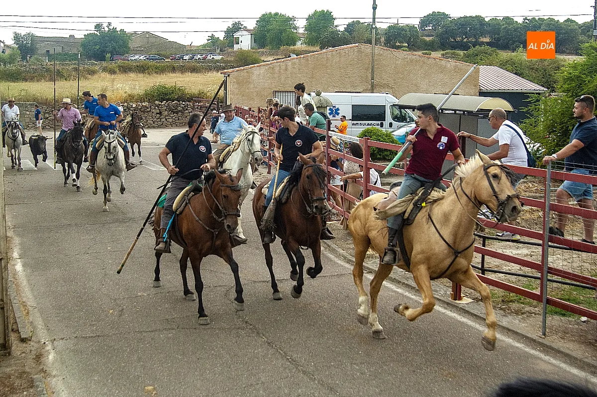 II Encierro a Caballo en Fuentes de Oñoro