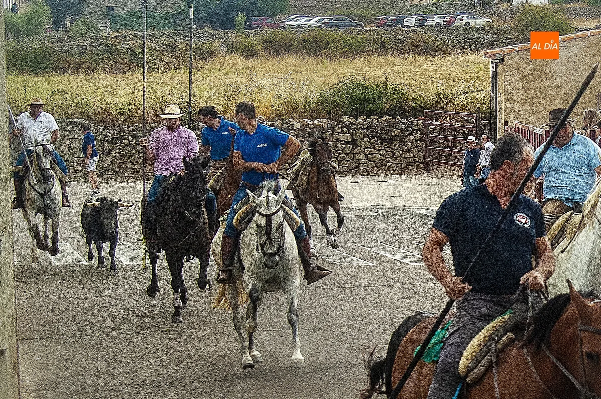 II Encierro a Caballo en Fuentes de Oñoro