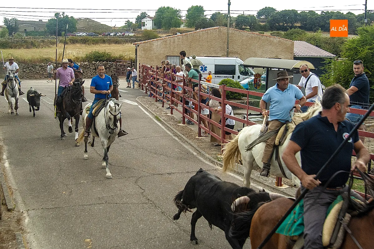 II Encierro a Caballo en Fuentes de Oñoro